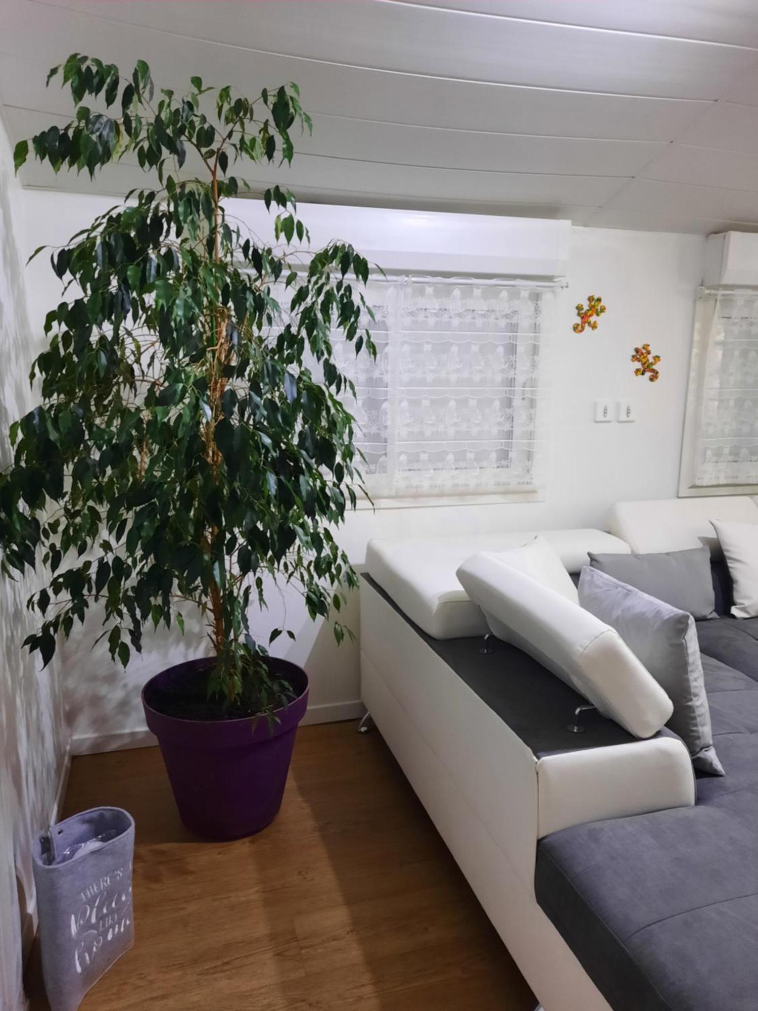 Apartment Ma Vie La Avec Jacuzzi Privatif *